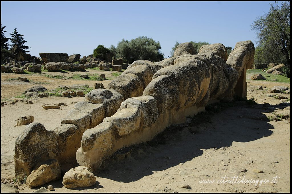 TELAMONE - TEMPIO DI ZEUS - VALLE DEI TEMPLI DI AGRIGENTO